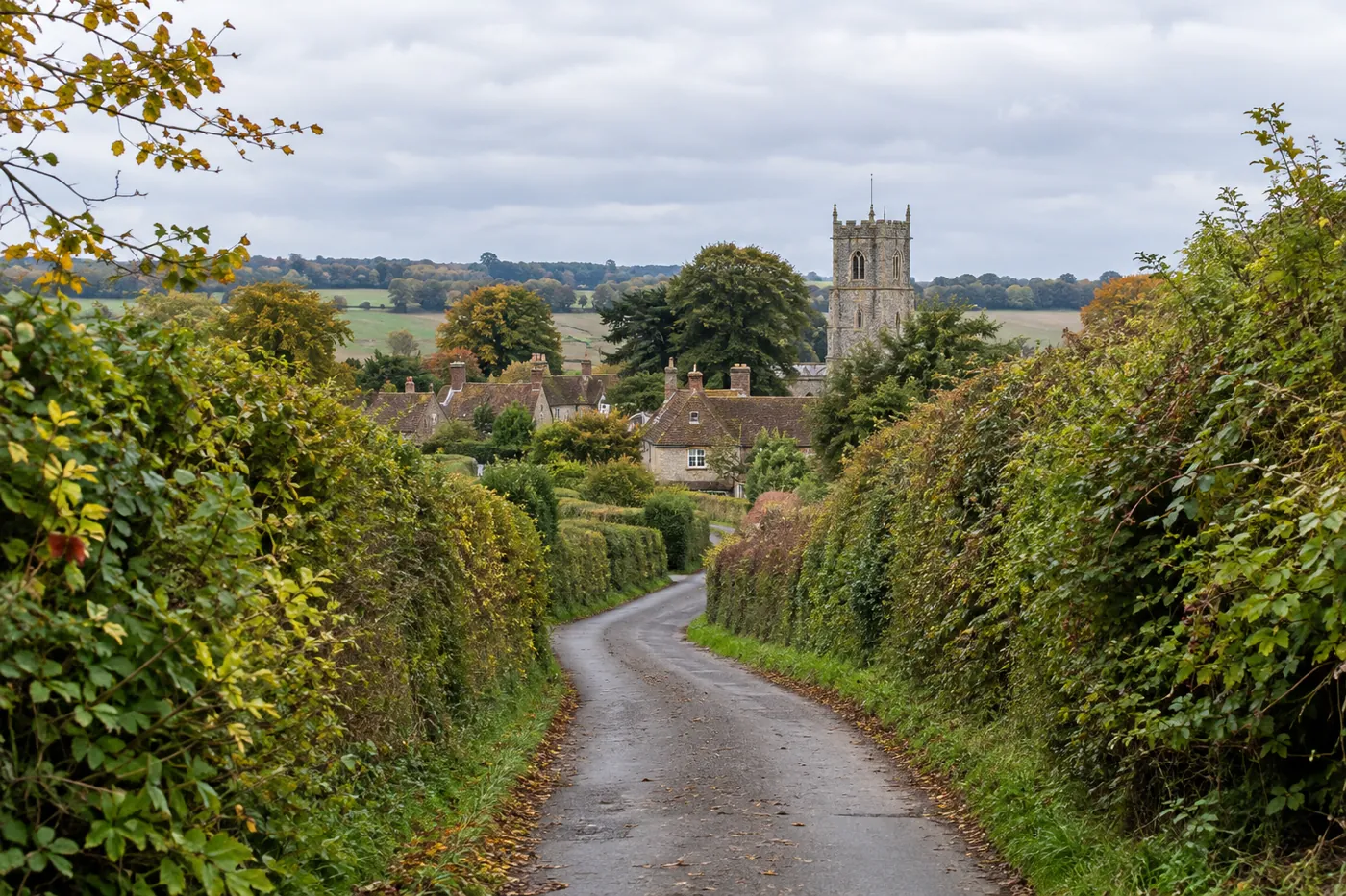 A country lane leading to a village with a church tower